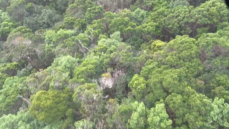 Watershed Protection