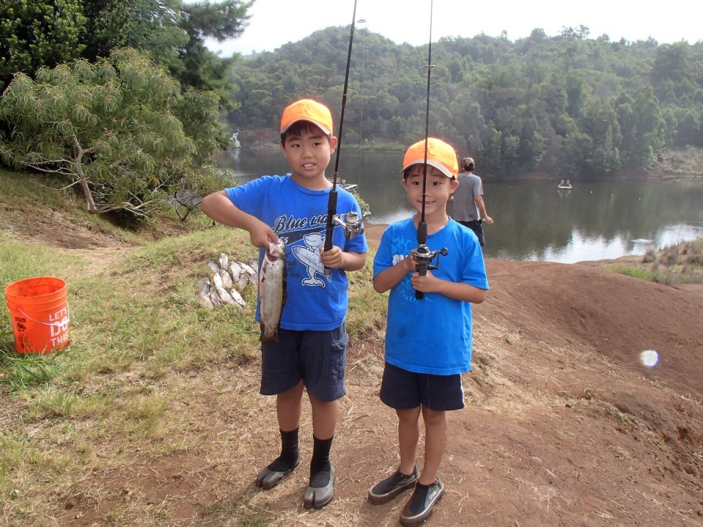 rainbow trout in the Koke‘e Public Fishing Area