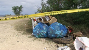 Trash along the beach