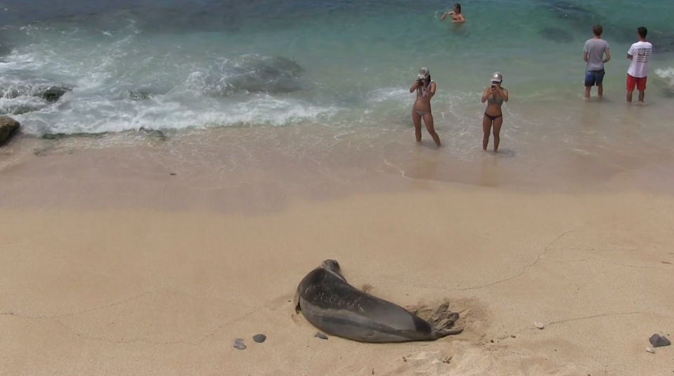 DLNR & YOU - Human Impact