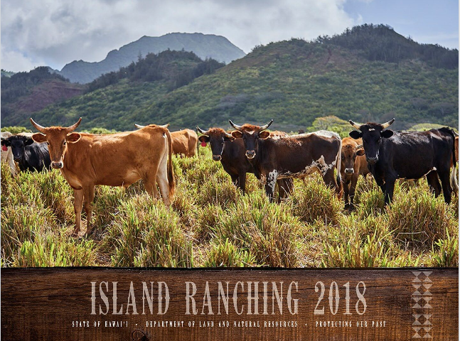 cover photo by Ric Noyle