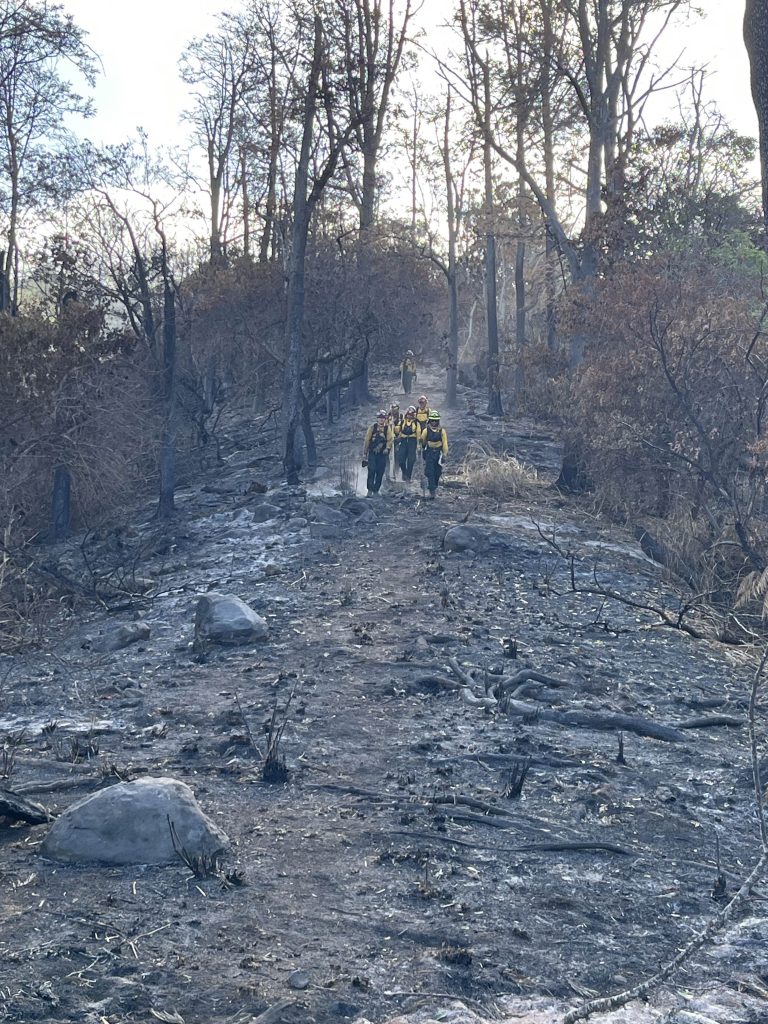 A crew of six firefighters walk through the burned area of a mountain ridge.