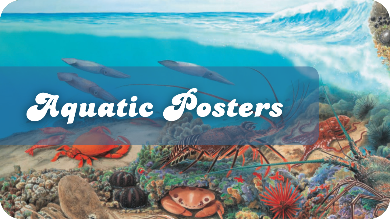 Aquatic Posters