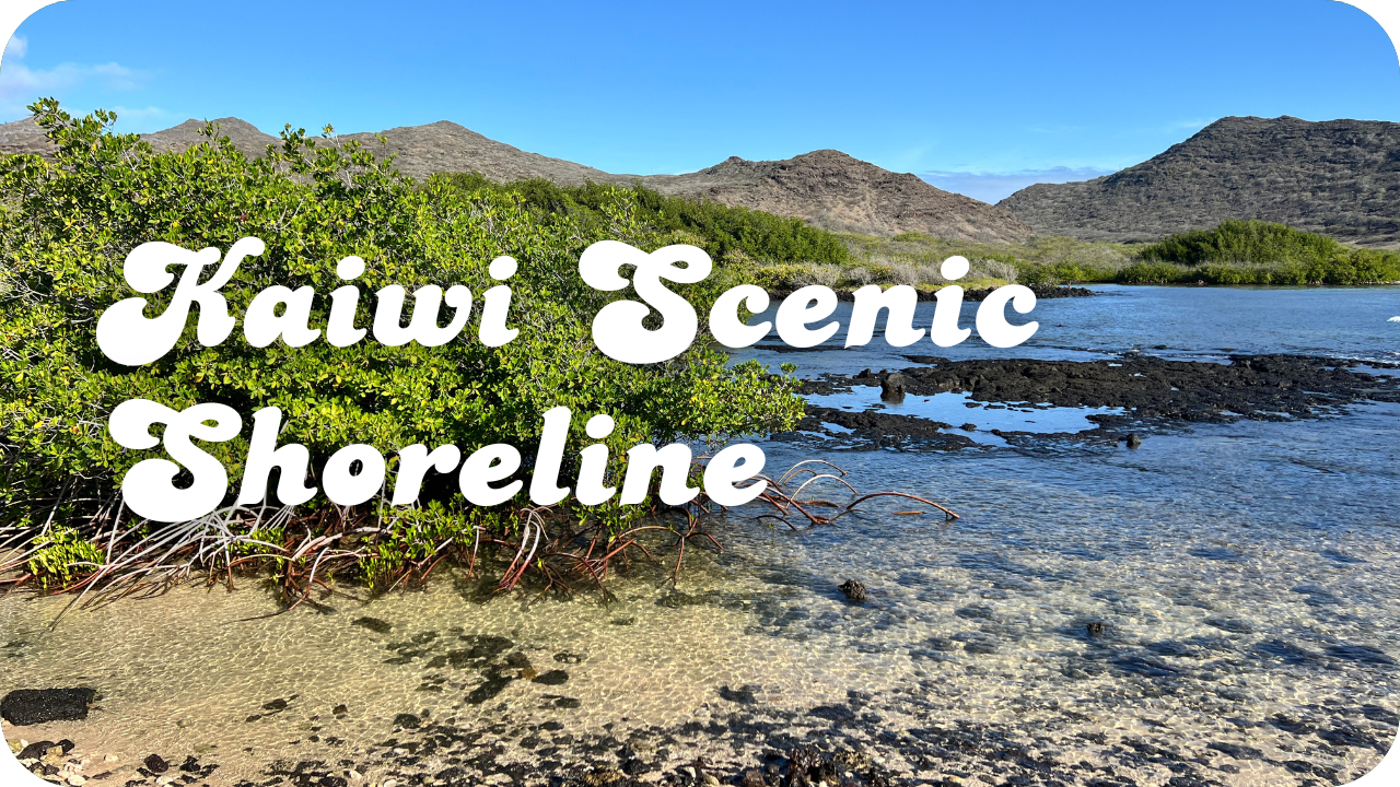 Kaiwi Scenic Shoreline