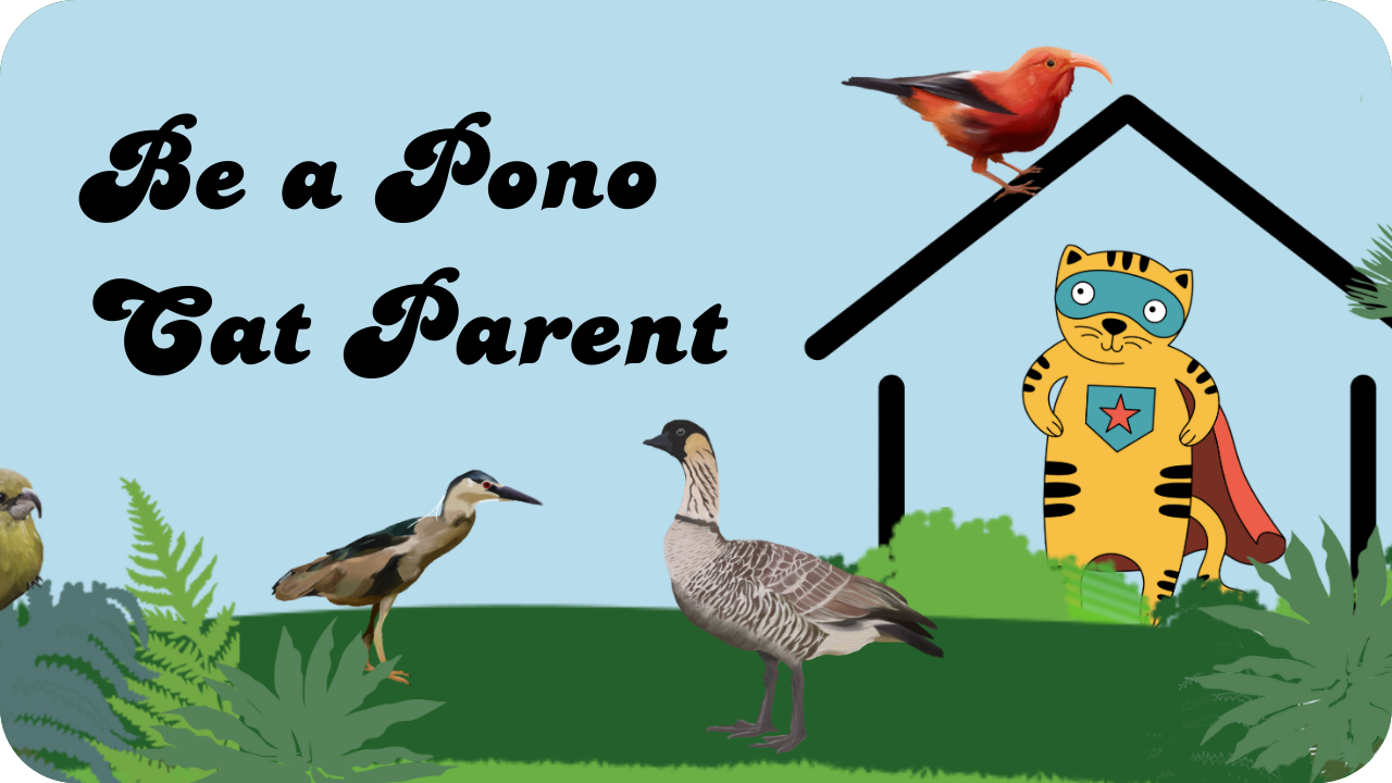 Be a Pono Cat Parent