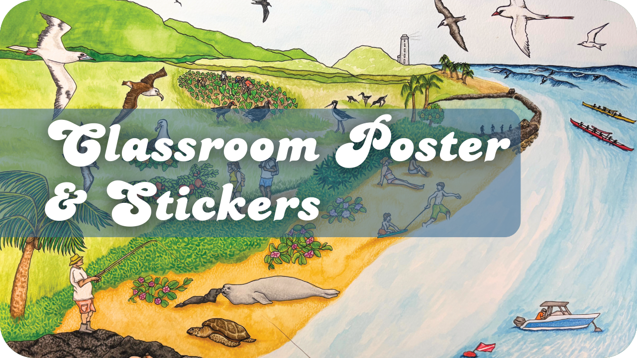 Classroom Posters & Stickers