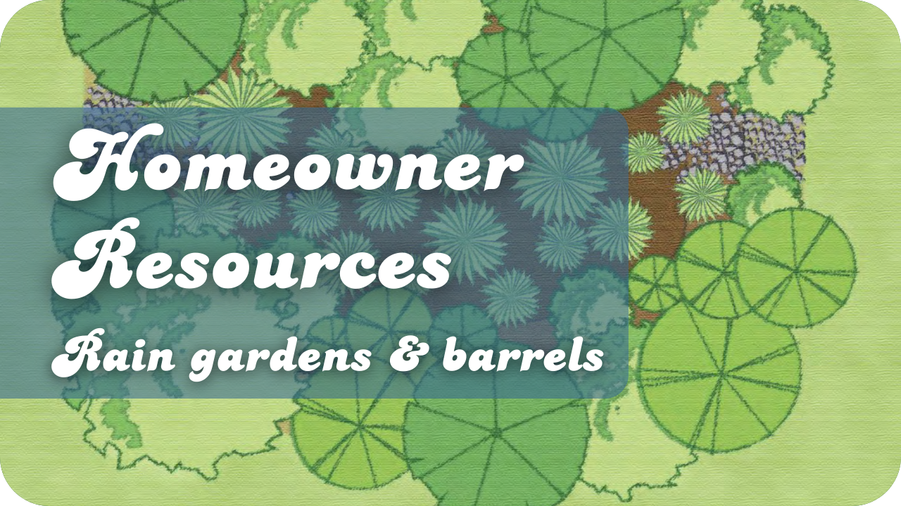 Homeowner Resources- Rain gardens and barrels