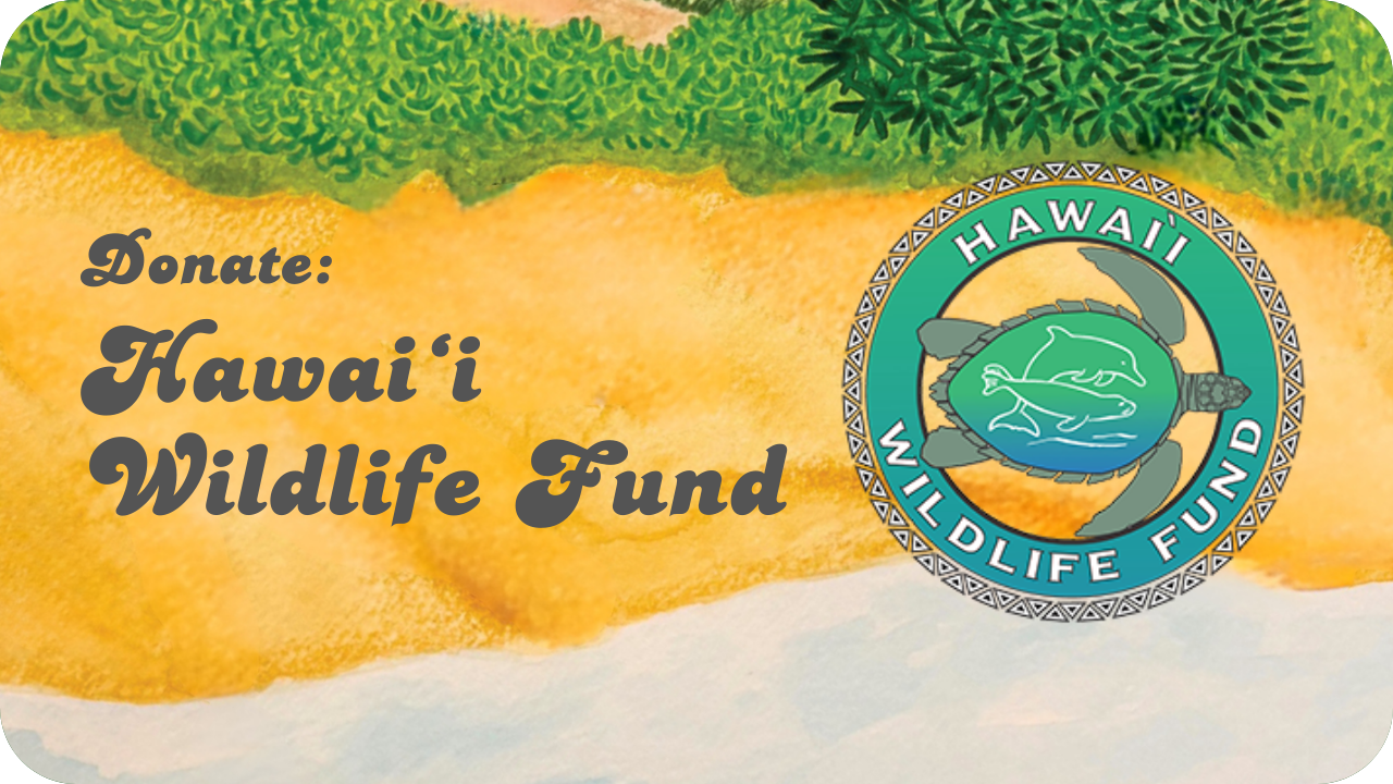 Donate: Hawaiʻi Wildlife Fund