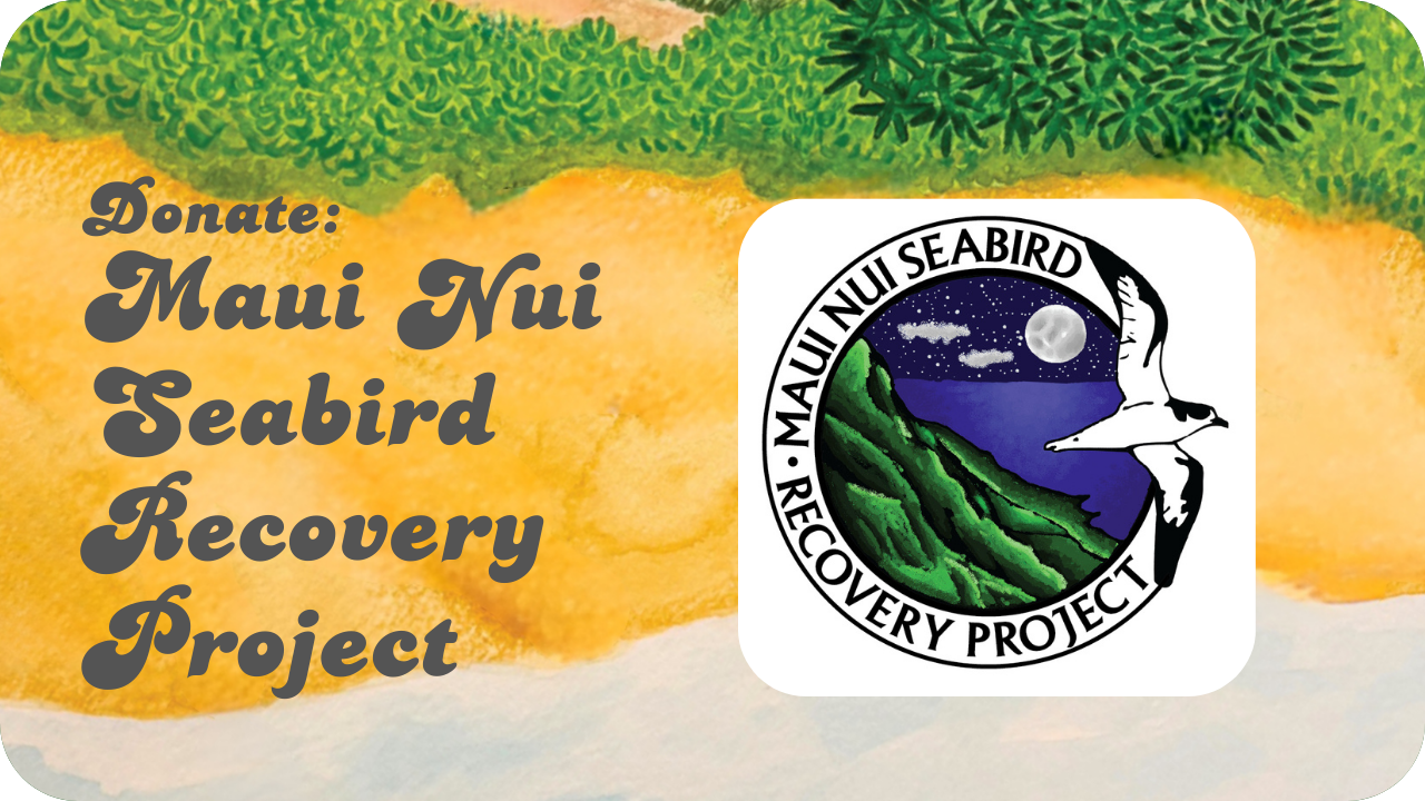 Donate: Maui Nui Seabird Recovery Project