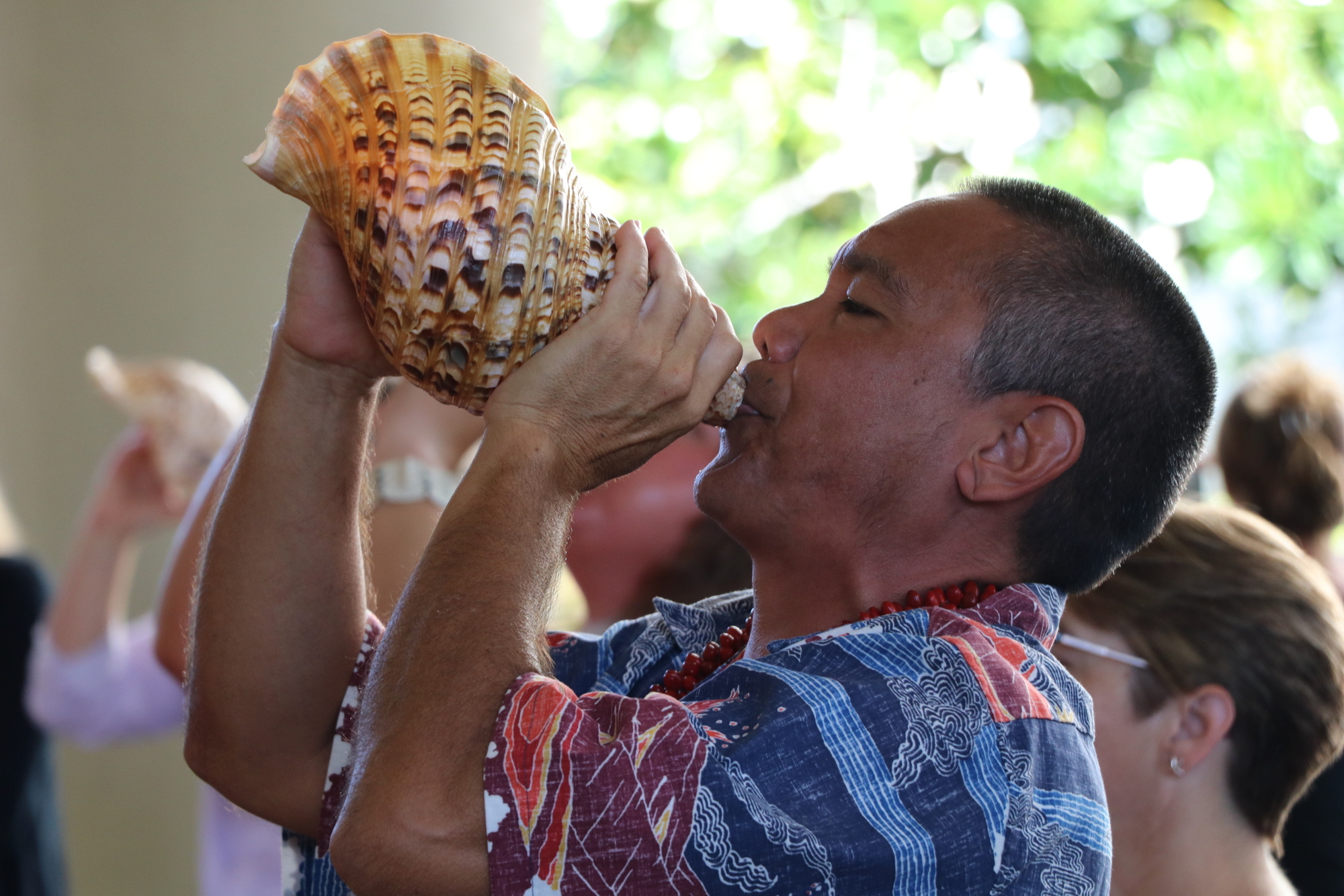 Shell used as a pū