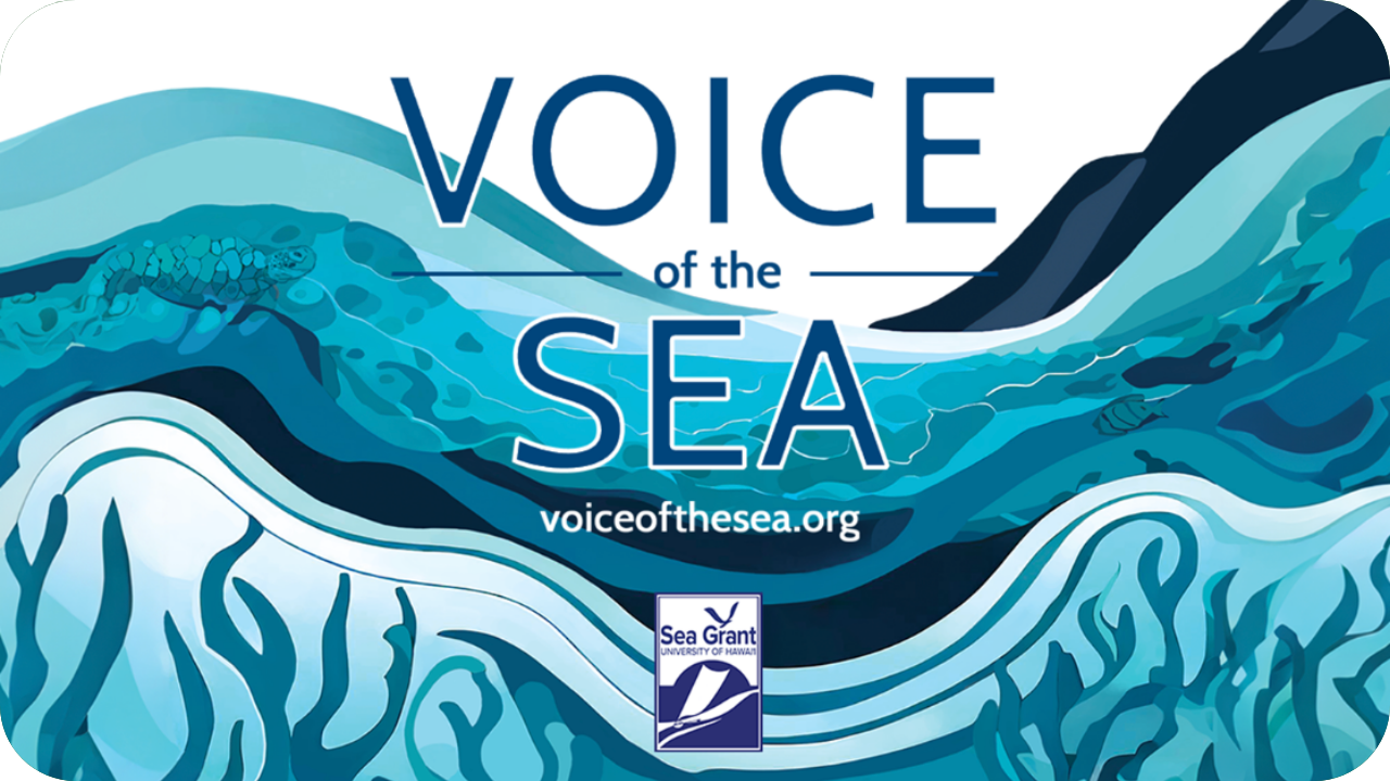 Voice of the Sea