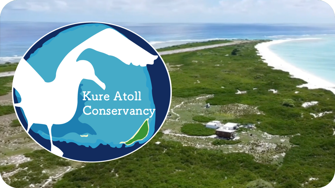 Kure Atoll Conservancy