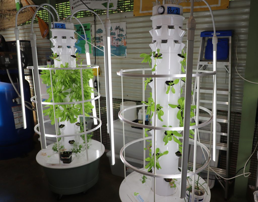 Photo of trees growing in a classroom with hydroponics